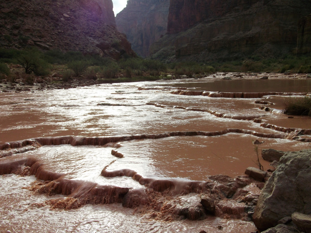 Little Colorado River-Muddy